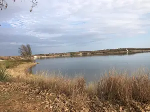 Weldon Robb Park