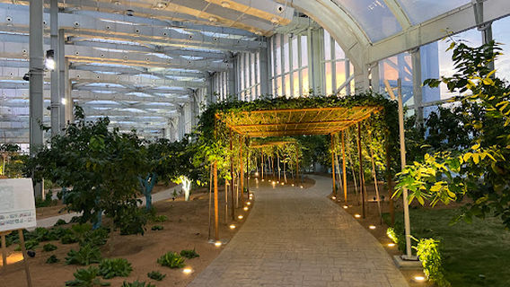 Al Samhah Greenhouse