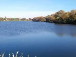 Водяная мельница купцов Волковойновых