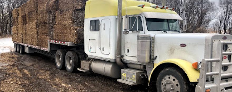 Dixon County Feedyard