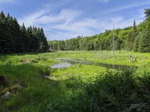 Porcupine Lake Wilderness