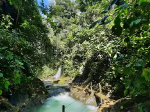 Los Campesinos Ecolodge
