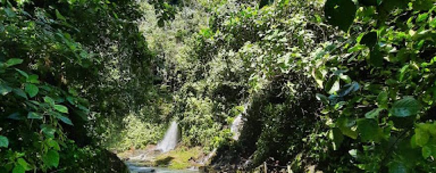 Los Campesinos Ecolodge