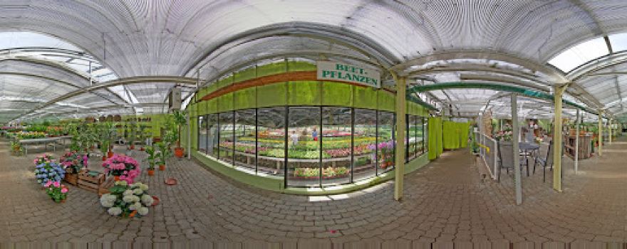 Blumen-Kuch GmbH & Co. KG