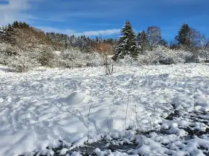 Ski- und Schlittenwiese Oberreifenberg