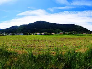 la voie verte des hautes vosges