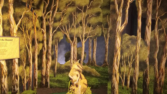 Window on the Wetlands