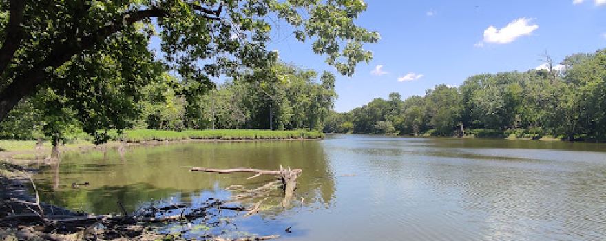 Columbia Woods