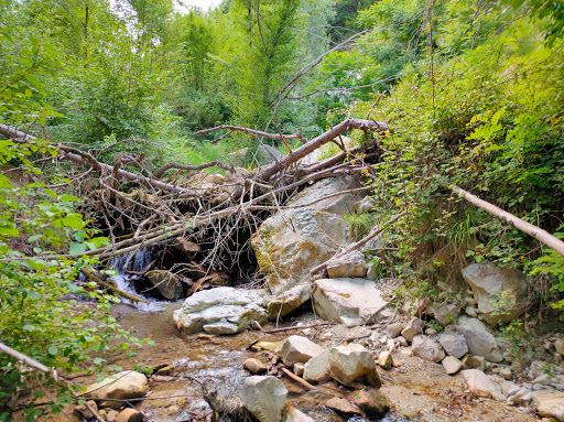 Little Waterfalls of the Conca River