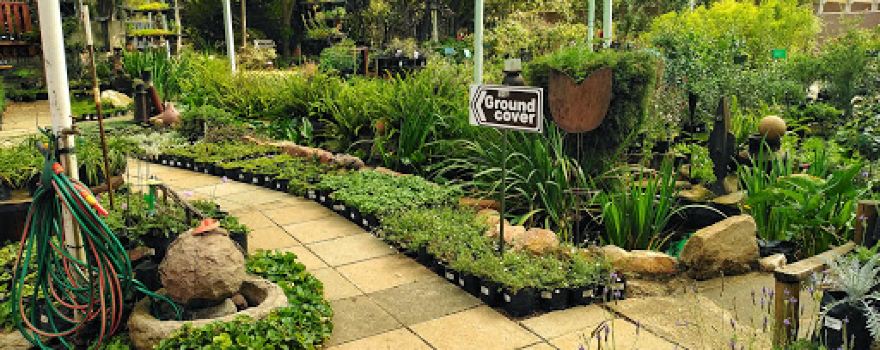 4 Seasons Garden Centre