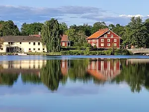 Viken