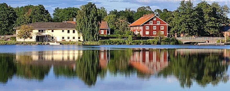Viken