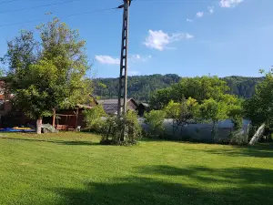 Camping Het Zwaluwnest