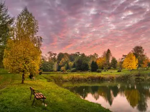 Park Buczyna