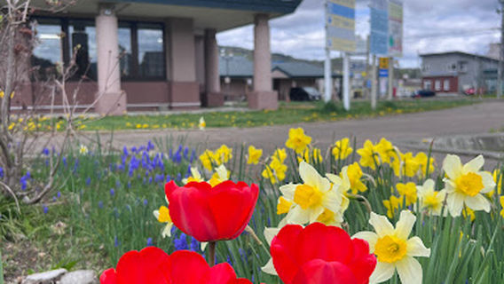 占冠村農村公園