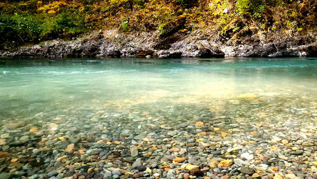 La Wis Wis Campground