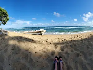 Hawaiian Beaches Park