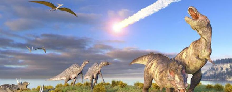 Dinosaur Park