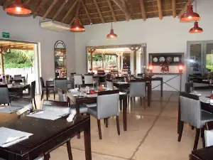 Addo Wildlife