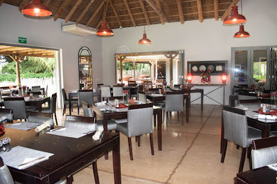 Addo Wildlife
