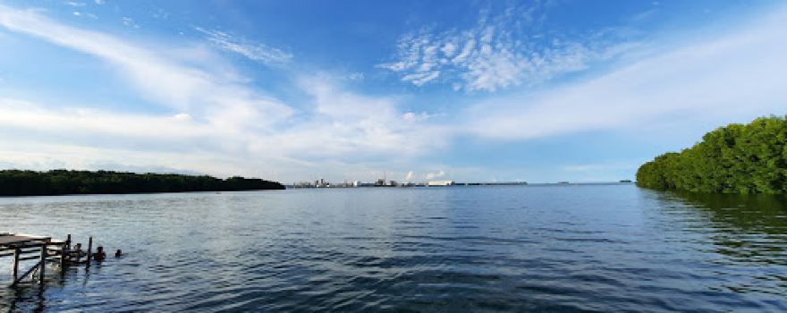 Bontang Mangrove Park