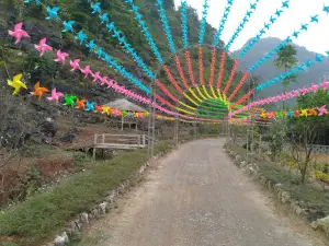 Thung Lũng Tình Yêu Yên Lạc