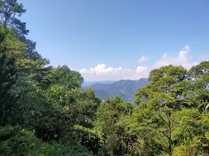 Panorama Travel Pabangbon