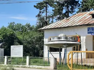 Muzeul Henri Coandă