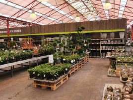 bijSTOX Roermond