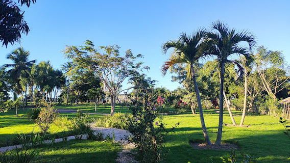 Glamping Hicacos Blanco , Miches by CREA