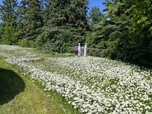 Парк Джимли Павиллион