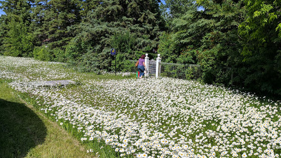 Gimli Pavillion Park