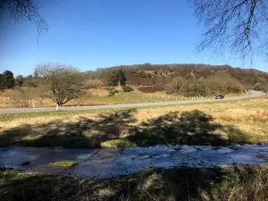 Skovtårnet
