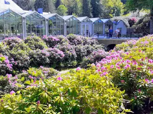 Norrvikens Camping Caravan Club