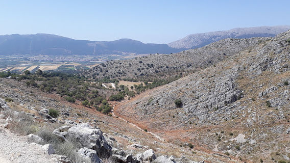 Polje De Zafarraya