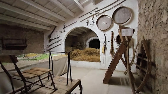 Museo Binissues