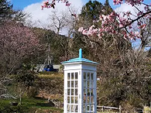 The phone of the wind