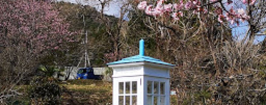The phone of the wind