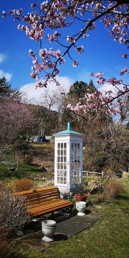The Wind Phone