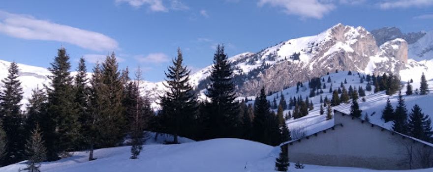 Bois d'Aurouze