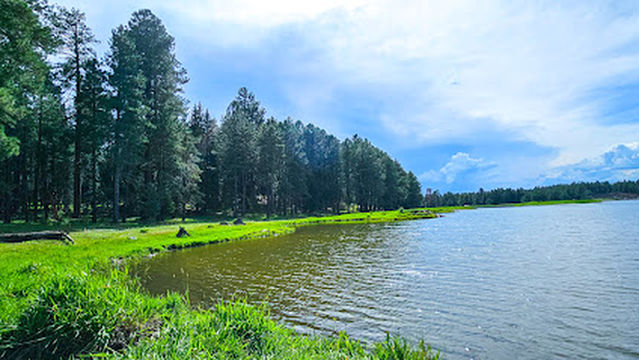 Horseshoe Cienega Lake Campground