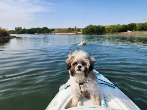 Iron Horse Trail Lake