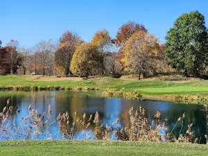 Belterra Golf Club
