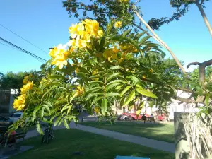 Plaza Eusebio Marcilla