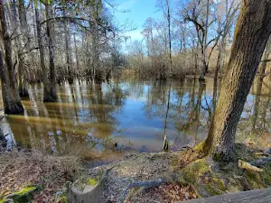 Environmental Discovery Center