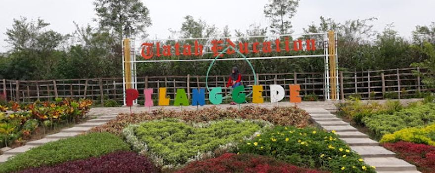 Wisata Taman Pinggir Nggawan (TPG)
