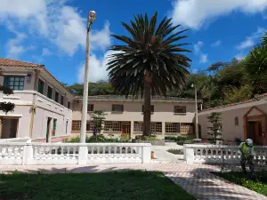 Jardín Botánico Yachay