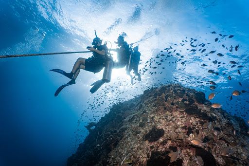 Mojo Diver - Koh Tao Diving Centre(Main Centre)