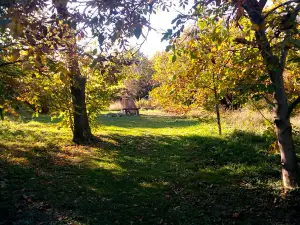 Zengővárkony Gesztenyés
