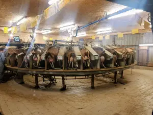 Ferme du Port Aubry